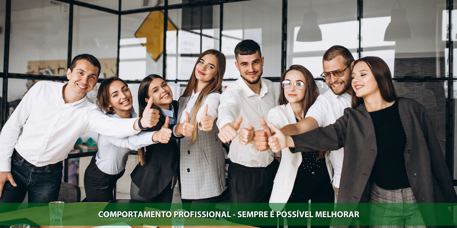 Figura 4 - COMPORTAMENTO PROFISSIONAL. O QUE VOCÊ DEVE SABER